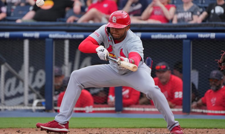 What They’re Saying: Cardinals Outfield Edition
